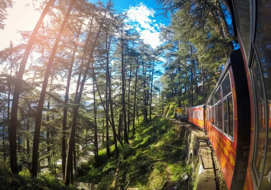 View of Shimla Toy Train in forest