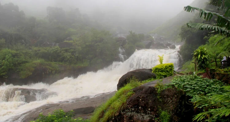 Attukal Waterfalls in Munnar