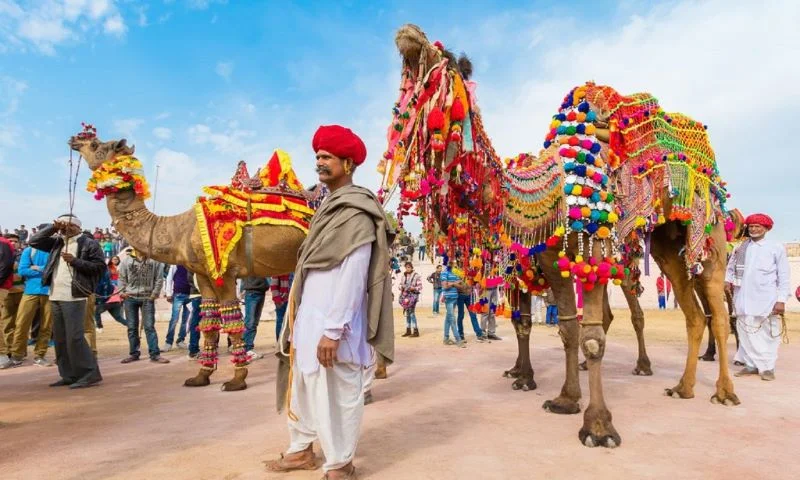 Pushkar Camel Fair in Rajasthan